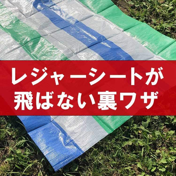 え、それだけ！？【レジャーシート飛ばされる問題】がたちまち解決！感涙モノの“絶対知っておきたい裏ワザ”を紹介！