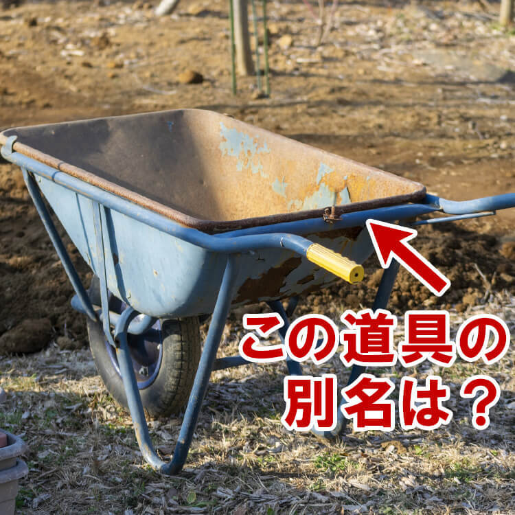 工事現場で活躍する「ねこ」って知ってる？かわいいけど頼りになる！意外な名前の由来とは【子どもに教えたい豆知識】