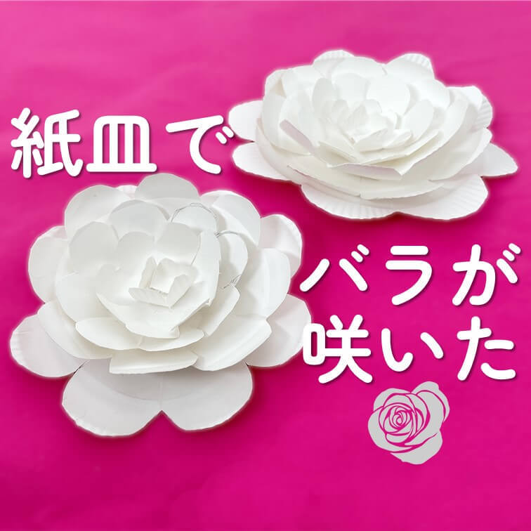 材料は紙皿だけ！切るだけで簡単に作れるバラがかわいい♡バレンタイン工作にもおすすめ！