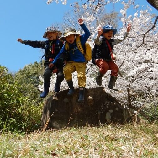 【子どもの外遊び】どう遊んだらいい？自然保育のプロが伝える子どもが自然の中で過ごす意味