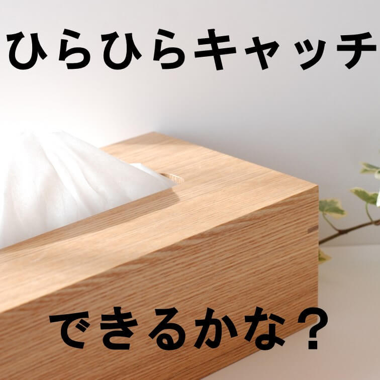 ティッシュさえあれば実践できる！幼児期に鍛えたい「反射神経」や「動体視力」の室内トレーニング遊び