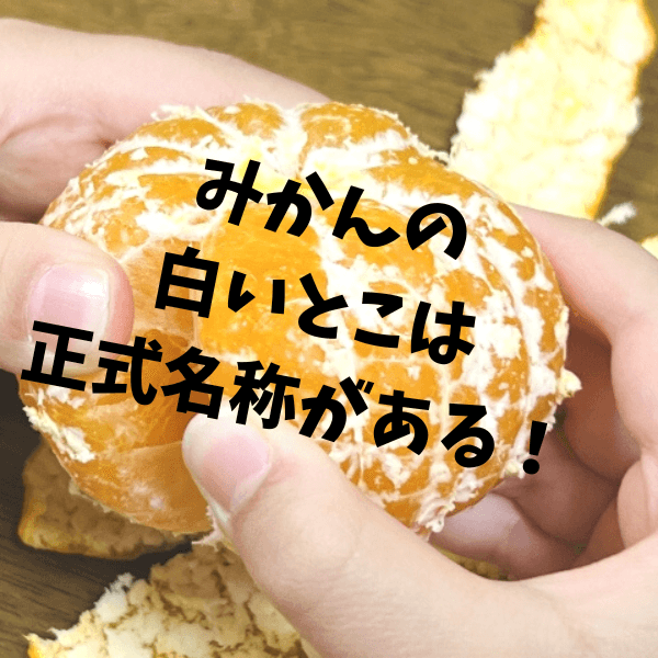 おぉ、みかんの皮の”白いふわふわ”の名前がパンチ効きすぎ！取らずに丸ごと食べちゃいたくなる豆知識