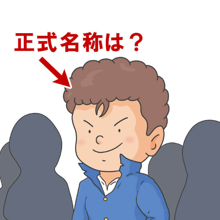 「パンチパーマ」は正式名称じゃない！？実は日本生まれのかっこいい名前があった！【人に教えたい豆知識】