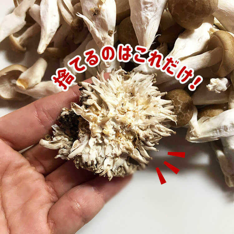 「ぶなしめじ」食べられる部分まで捨ててない？まな板を汚さずに石づきだけを取る裏ワザに目からウロコ！