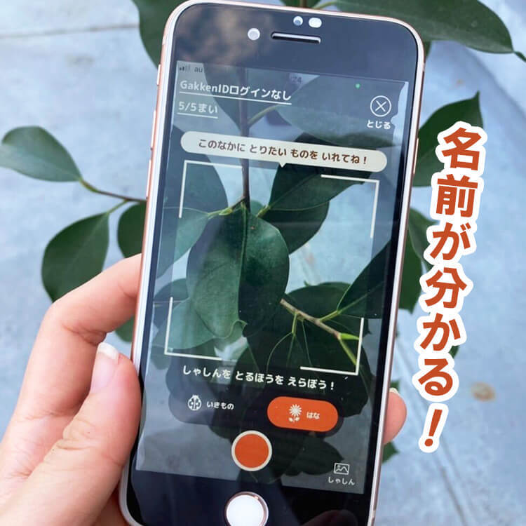 学研から出たAI図鑑アプリ『ナニコレンズ』が画期的！大人もドハマりの予感でとりあえず入れて損なし！
