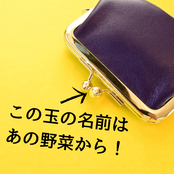  【子育て家庭必見！】がま口の玉の笑っちゃう名前とは！？入手困難の新作おもちゃやSwitchのすっきり収納アイデアも！