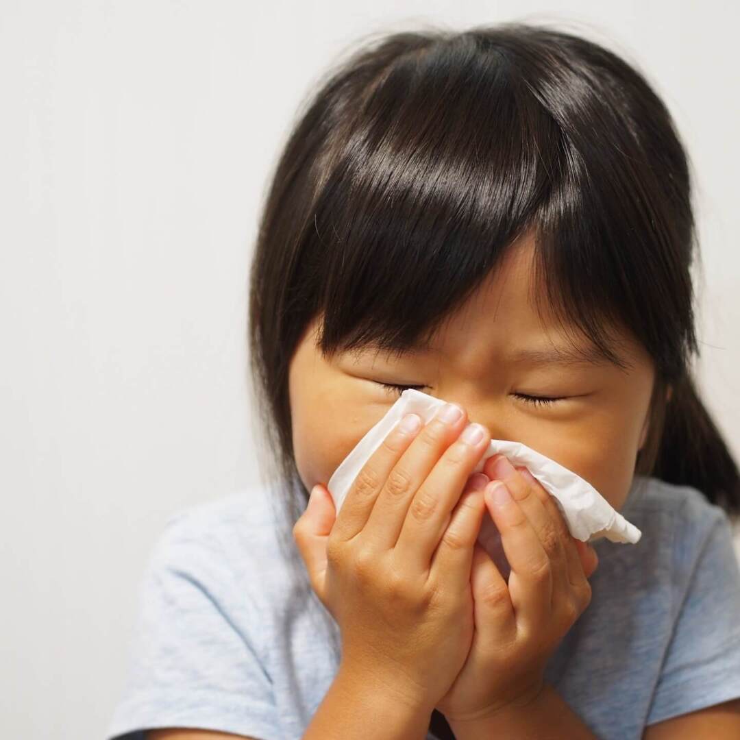 花粉症は桜やチューリップでは起こらない！？子どもに聞かれてもこれで完璧！つらい症状のしくみを徹底解説！